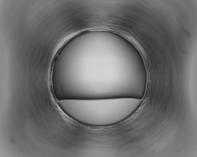 X0000113341485200909150955