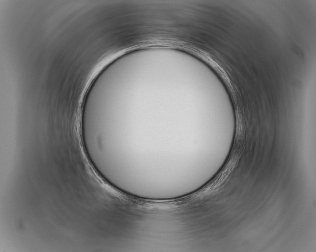 X0000113341486200909150955