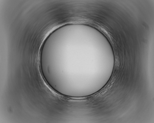 X0000113341487200909150955
