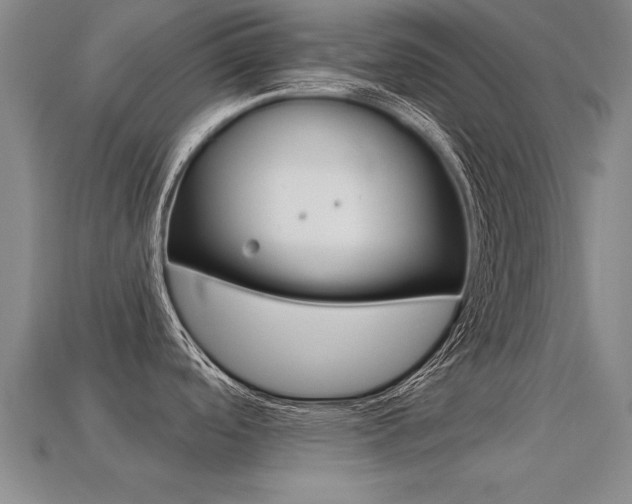 X0000113341488200909150955