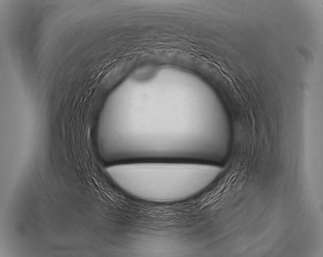 X0000113341489200909150954
