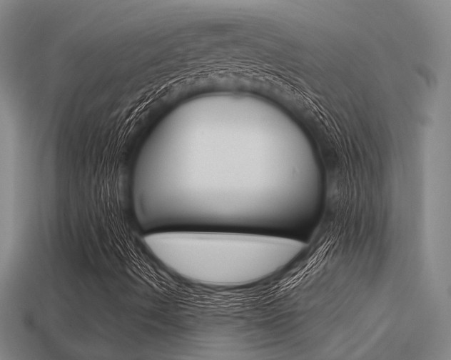 X0000113341490200909150954
