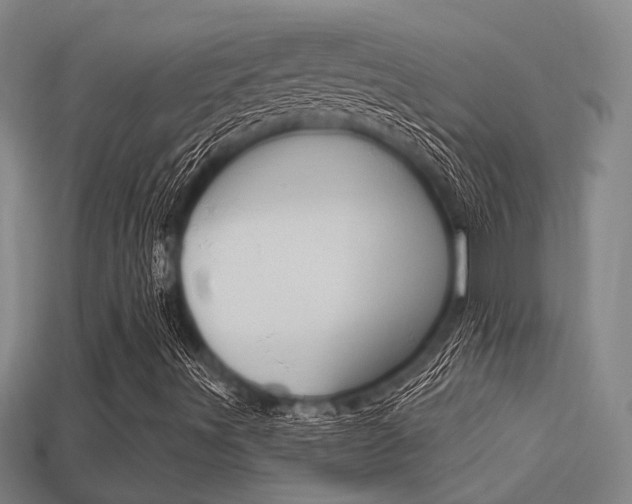 X0000113341491200909150954