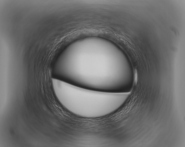X0000113341492200909150954