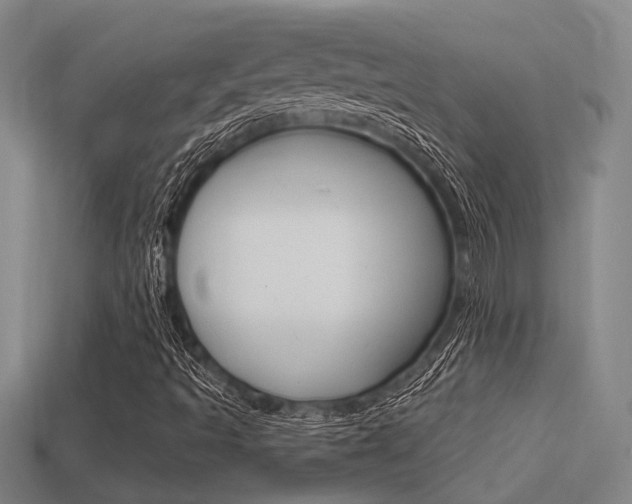 X0000113341493200909150954