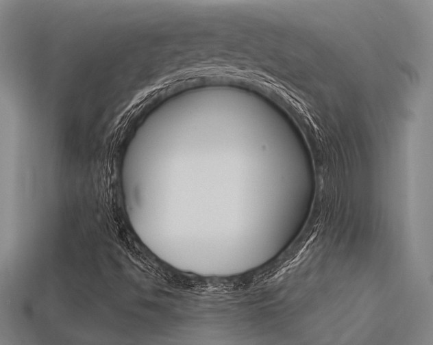 X0000113341494200909150954