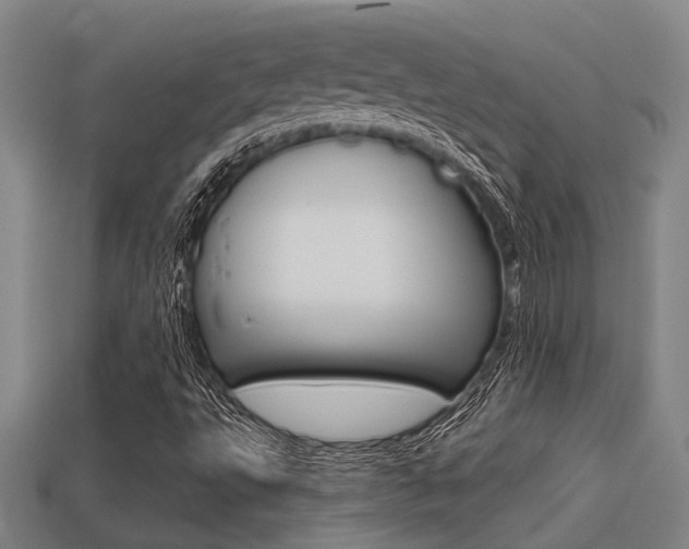 X0000113341495200909150954
