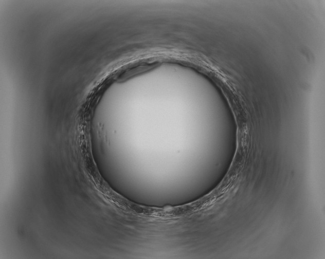 X0000113341496200909150954