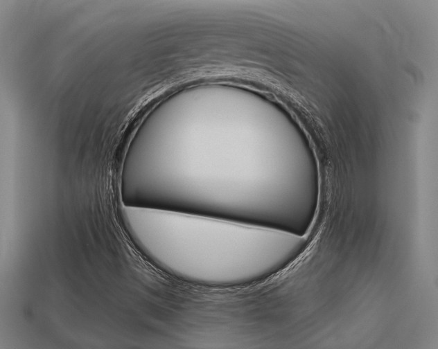 X0000113341497200909150954
