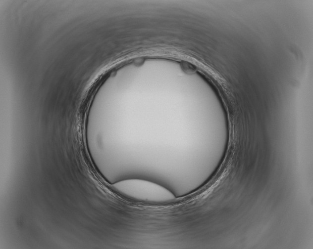 X0000113341498200909150954