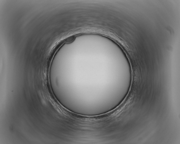 X0000113341499200909150954