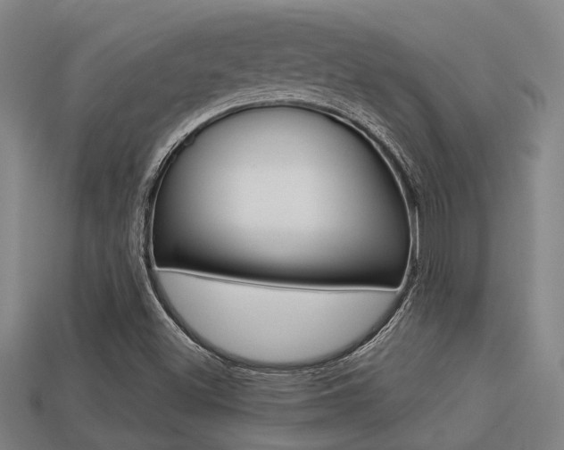 X0000113341500200909150954