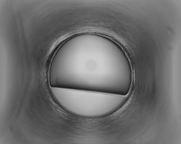 X0000113341501200909150954