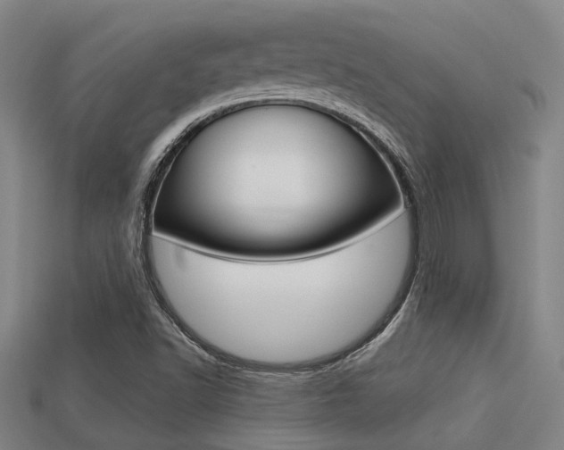 X0000113341502200909150954