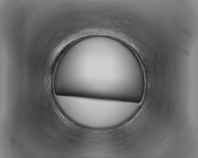 X0000113341503200909150955