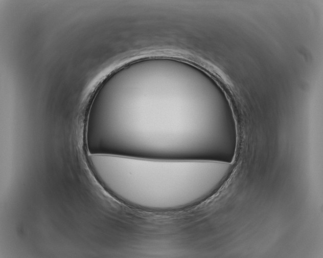 X0000113341504200909150955