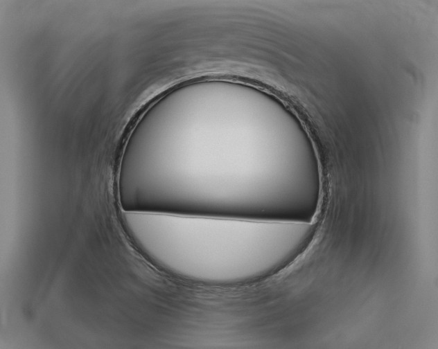 X0000113341505200909150955