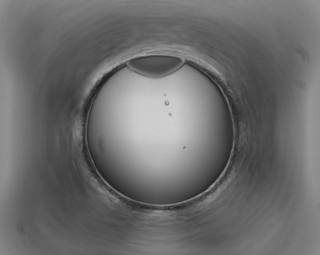 X0000113341506200909150955