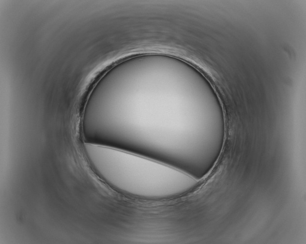 X0000113341507200909150955