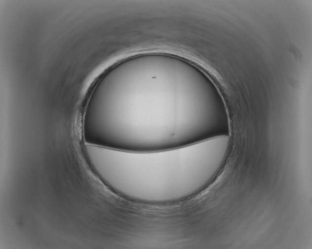 X0000113341510200909150955