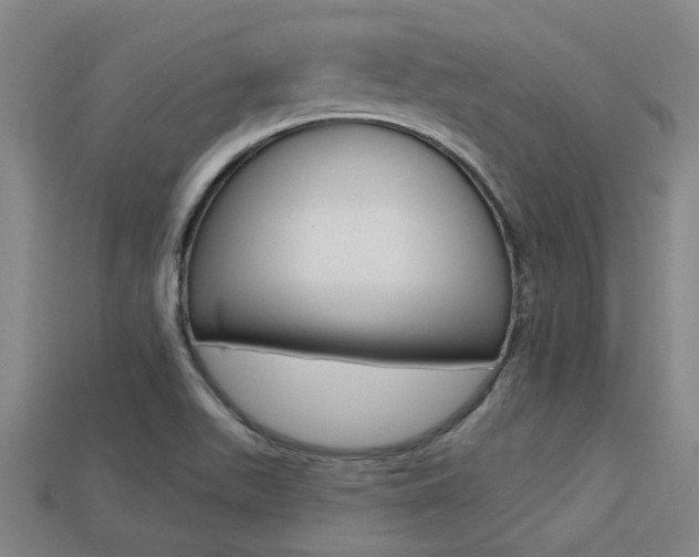 X0000113341511200909150955
