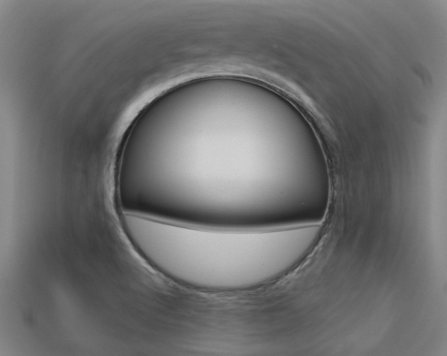 X0000113341512200909150955
