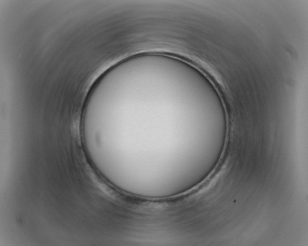 X0000113341513200909150955