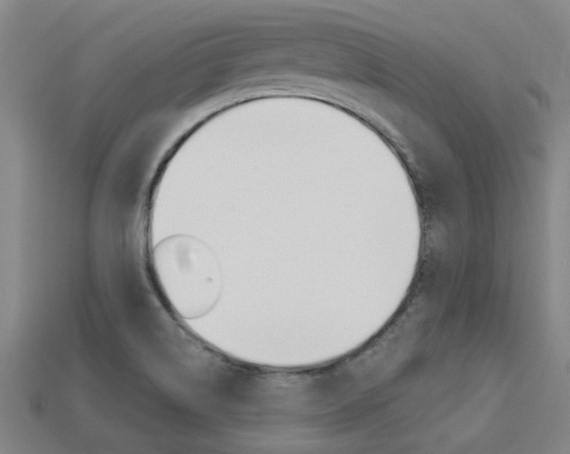 X0000113341514200909150955