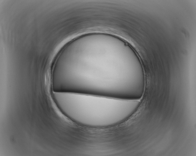 X0000113341515200909150955