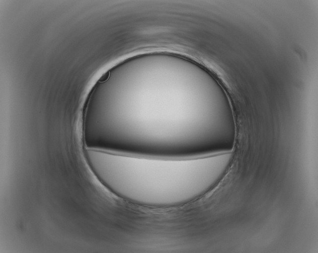 X0000113341516200909150955