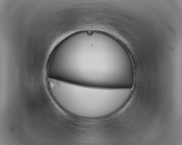X0000113341517200909150955