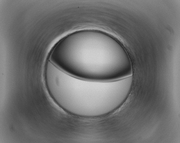 X0000113341518200909150955