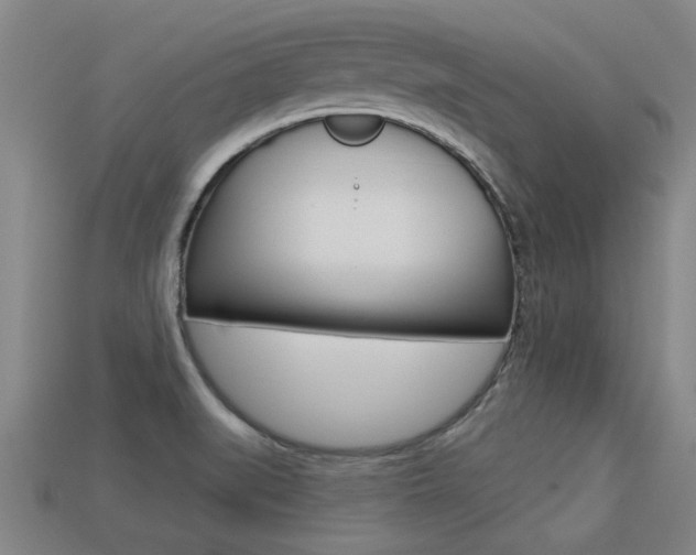 X0000113341519200909150955