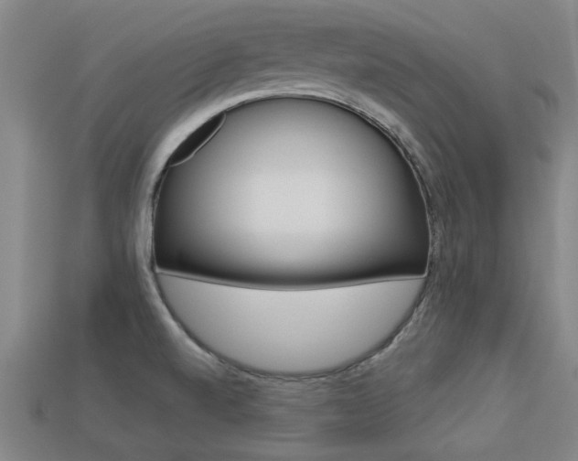 X0000113341520200909150955