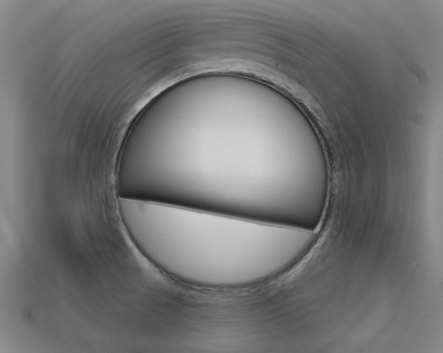 X0000113341521200909150955