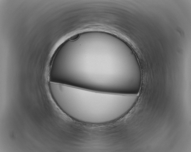X0000113341522200909150955
