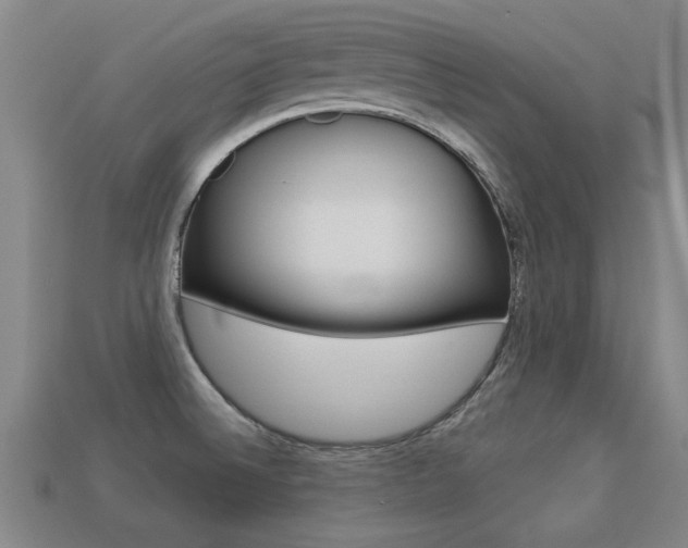 X0000113341524200909150955