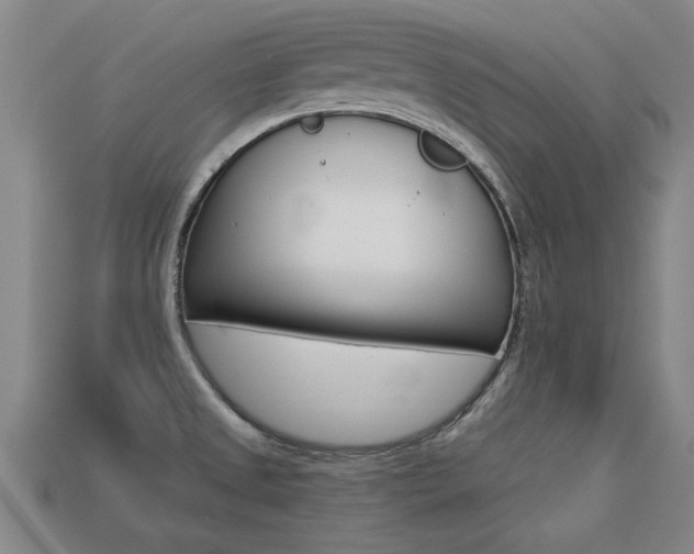 X0000113341525200909150955