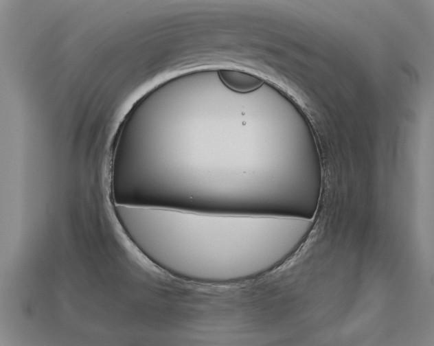 X0000113341526200909150955