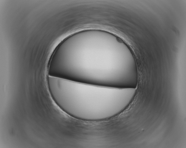 X0000113341527200909150955