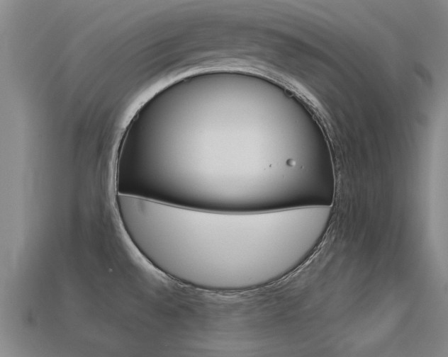 X0000113341528200909150955
