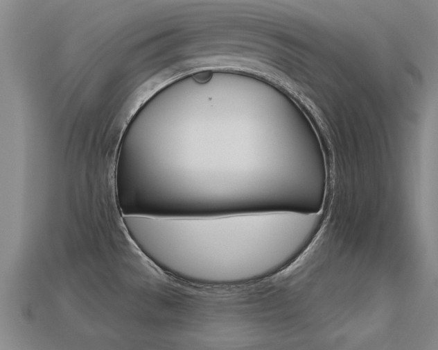 X0000113341529200909150955