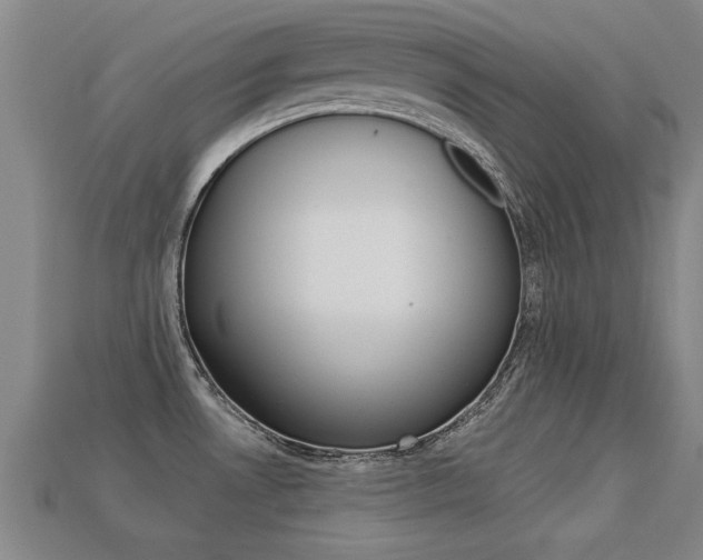 X0000113341530200909150955