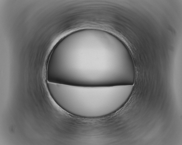 X0000113341531200909150955