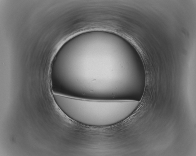 X0000113341532200909150955