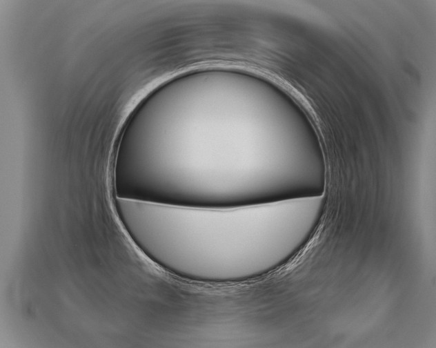 X0000113341533200909150955