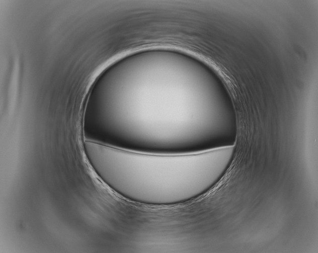 X0000113341534200909150955