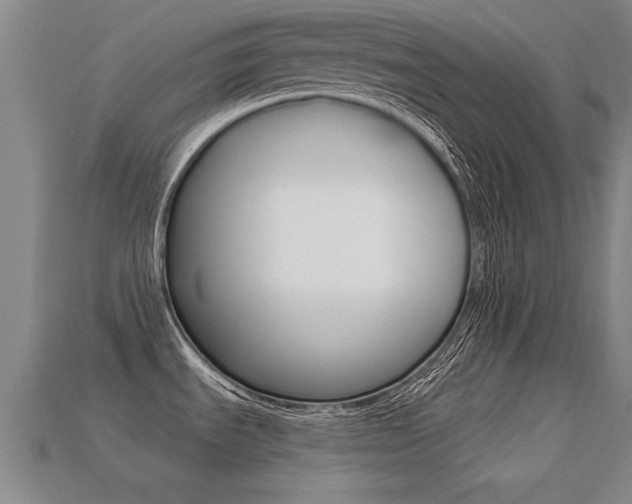 X0000113341535200909150955