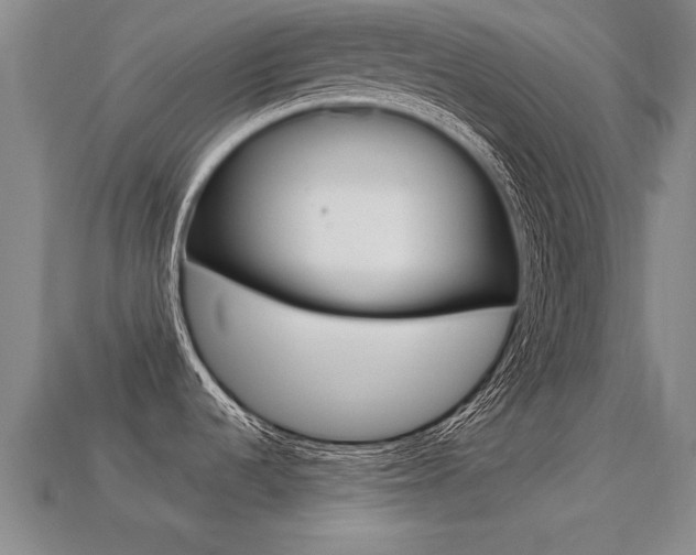 X0000113341536200909150955