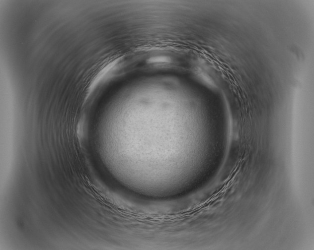 X0000113340004200909151140